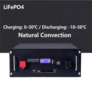 แบตเตอรี่ LiFePO4 แบบติดตั้งบนชั้นวาง 51.2V 100Ah 200Ah 280Ah 300Ah 314Ah ชุดแบตเตอรี่ 5kWh 10kWh 15kWh 16kWh สำหรับโซลาร์บ้าน - Product Image 3