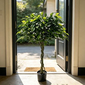 Árboles de Banyan Artificiales - Product Image 5