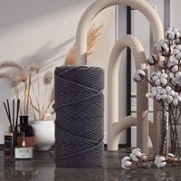 Cordon de coton en macramé 5mm fait à la main 4 cordes de coton tressées torsadées pour tapisserie attrape-rêves Tricotage plante cintre bricolage