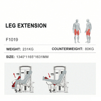 WENDY Appareil de musculation professionnel à charge par poulie pour soulevé de cuisse couché / extension de jambe