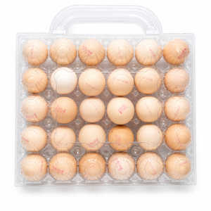 Porte-œufs portable léger et durable 2026, très vendu, avec 28/30 plateaux, en <span class=keywords><strong>plastique</strong></span> PET à bulles haute visibilité, pour œufs - Product Image 3