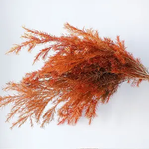 2020 Yunnan Hot Verkoop Natuur Bewaarde Bloemen Melaleuca Bracteata Bloem Voor Wieden Decoratie.