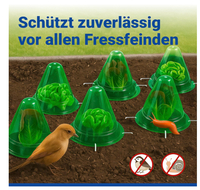 Protège-plantes anti-escargots 27 cm x 24 cm en plastique – Protection contre le gel, les insectes et les oiseaux – Mini-serre de protection