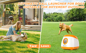 Büyük eğitim elektrikli Thrower Pet açık akıllı cihaz interaktif oyuncak uzaktan kumanda tenis köpek otomatik EPTU topu başlatıcısı - Product Image 6