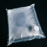 Sac BIB Aseptique Transparent 20L en PA/NY de Qualité Alimentaire avec Bec Verseur et Bouchon Anti-Fuite pour Emballage de Jus et Boissons