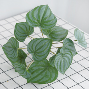 YOPIN-3650 Vente en gros de feuillage réaliste, feuilles d'<span class=keywords><strong>arum</strong></span> artificielles, décoration de plantes, feuilles de bégonia - Product Image 4