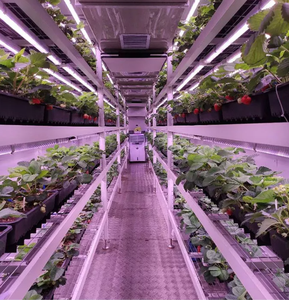 Contenedor de Cultivo de <span class=keywords><strong>Fresas</strong></span> con Sistema de Control Inteligente y Sistema de Iluminación LED para Cultivo, Invernadero <span class=keywords><strong>en</strong></span> Contenedor de Envío de 40 pies/20 pies - Product Image 3