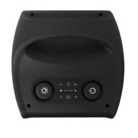 Haut-parleur Bluetooth portable sans fil rechargeable T TWS pour karaoké et soirées, avec haut-parleur de 6,5 pouces, décoration pour la maison
