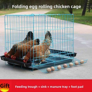 Gabbia <span class=keywords><strong>per</strong></span> Polli di Piccole Dimensioni <span class=keywords><strong>per</strong></span> Uso Domestico e Pollaio <span class=keywords><strong>per</strong></span> Allevamento <span class=keywords><strong>Quaglie</strong></span> con Sistema Automatico di Rotazione e Piegatura delle Uova - Product Image 2