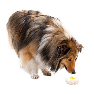 Fabbrica personalizzata <span class=keywords><strong>Sun</strong></span> Flower Smile Emoticon Food Grade Silicone <span class=keywords><strong>Pet</strong></span> Squeaky giocattoli interattivi da masticare per masticatori aggressivi - Product Image 2