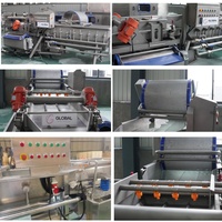 Industriële automatische machine voor het maken van verse gemengde bladgroentesalade, inclusief sla snijder, -wasser, -droger en verwerkingslijn