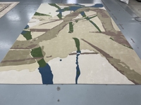 Tapis de créateur Tapis de chambre d'hôtel Salon de luxe Tapis en laine touffeté à la main d'usine