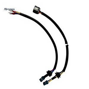 Module de fonction automobile, faisceau de câblage court, double branche, connecteur blanc et noir, faisceau de câblage personnalisé OEM 12V 24V - Product Image 3