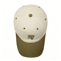 Gorra de Béisbol Vintage con Bloques de Color y Diseño de Frutas, Logotipo Bordado en 3D Personalizado, 6 Paneles, Algodón Jersey Transpirable, Ajustable, para Actividades al Aire Libre y Carreras