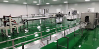 Ensemble complet de petites bouteilles d'eau minérale potable en plastique PET 3 en 1 Ligne de production Machine de remplissage et de capsulage par soufflage