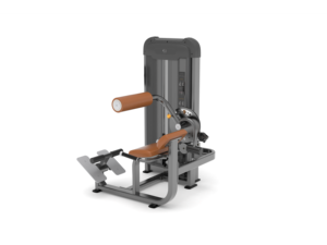 Anyfit PS06 Macchina per Esercizi Commerciale in Acciaio, Sedia Romana per Estensione Schiena con Pila di Pesi da 66kg in Vendita - Product Image 3
