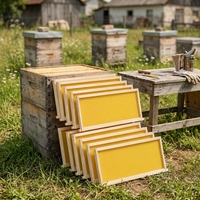 Hochwertige neue Bienenstockrahmen aus Kiefernholz mit Wachsfundament, tief, für die Imkerei, Marke SP, 6 Monate Garantie