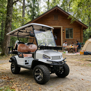 Carrito de Golf Eléctrico de Lujo de 5-6 Plazas, Cómodo, Personalizado, Todoterreno, de Alto Rendimiento y Duradero, Precio de Fábrica, en Oferta ZOWN - Product Image 1