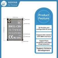 Module Wi-Fi double bande + BLE5.1 Ai-Thinker / Module de reconnaissance visuelle IA local BW21-CBV
