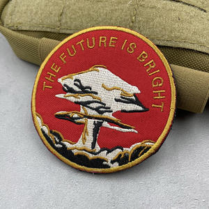 <span class=keywords><strong>Autocollant</strong></span> tactique Future Is Bright 3D brodé champignon nuage paillettes décorées Patch thermocollant pour vêtements toile <span class=keywords><strong>tissu</strong></span> - Product Image 4