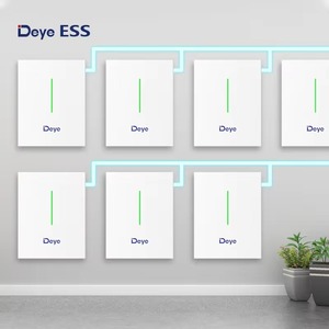 Deye EU Stok Güneş Enerjisi Depolama Bataryası 10.2kWh 6000 Döngü 200Ah RW-F10.2 BMS LiFePO4 Düşük Voltajlı Güneş Enerjisi Bataryası - Product Image 3