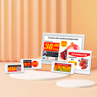 Kit de Etiquetas Electrónicas para Estantes de 4 Colores, 10 Unidades, Pantalla E-Paper E-Ink, Etiquetas Digitales de Precio, Plástico IP65 para Interiores, OEM, Centro Comercial