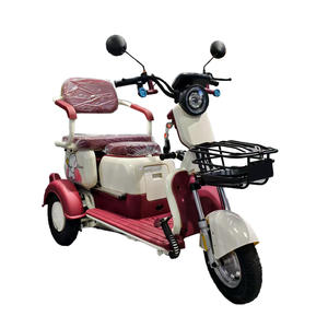 Vente en gros de tricycles électriques 500w 48v tricycle plomb-acide à trois roues tricycle électrique rickshaw vélo électrique pour adultes - Product Image 1