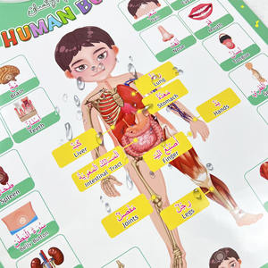 Affiche sonore de corps électronique <span class=keywords><strong>arabe</strong></span>-anglais bilingue tableau mural interactif <span class=keywords><strong>bases</strong></span> jouets éducatifs pour enfants - Product Image 3