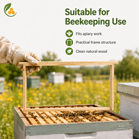 Nouvelles cadres de ruche et fondations en bois de sapin blanc de Chine pour l'apiculture, en vrac, avec garantie d'un an