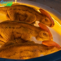 Incubateur d'œufs de dinosaures animatroniques personnalisé pour exposition, centre commercial, parc d'attractions, zone scénique