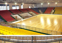 Nouveau Prix d'Usine Chaise de Stade Tribune Siège de Bleacher Sans Dossier
