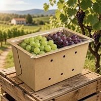 Biologisch afbreekbare, op maat gemaakte, geperforeerde papieren fruitdoos, diepe punnet, kraft wit karton, verpakking voor bessen, OEM