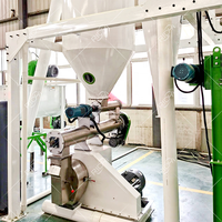 Machine à granulés d'aliments pour volailles RICHI 1 tonne par heure - Certification CE Machine à granulés d'aliments pour animaux Machine à granulés d'aliments pour volailles