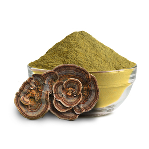 Extracto de polvo marrón-amarillo de seta de cola de pavo, potenciador del sistema menstrual, <span class=keywords><strong>precio</strong></span> económico - Product Image 1