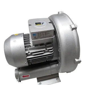 2LG430 0.7kw 1hp उच्च दबाव हवा बनाने वाला गैस पंप