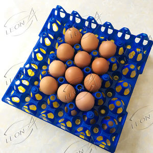 حاضنة بلاستيكية للدجاج 30 عدد صديقة للبيئة للبيع في باكستان 88 - Product Image 2