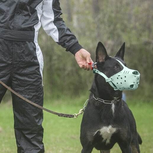 Nuovo Museruola Kangdarpet di Alta Qualità in Pelle Resistente e Anti-morso, Regolabile per Cani di Taglia Grande come Malinois, Pastore e <span class=keywords><strong>Pitbull</strong></span> - Product Image 2