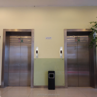 Ascenseur pour passagers de 8 personnes, capacité personnalisable, 800 kg, ascenseur commercial pour passagers, directement de l'usine