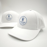 Gorra de Golf Deportiva Personalizada al por Mayor, Impermeable, de 6 Paneles, con Visera Curva, Bordado a Mano, Corte Láser, Transpirable, Ajustable, Unisex