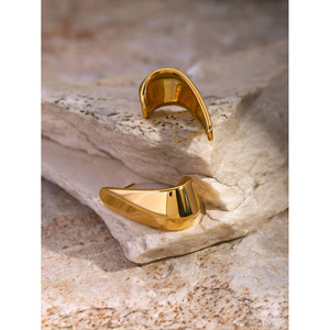 Bjg0454e Bông tai hình học Bông tai Trang sức thời trang bằng thép không gỉ vàng 18K - Product Image 5