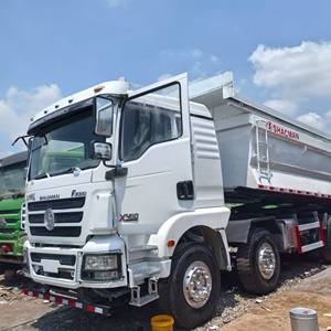 Camion benne Shacman F3000 X460 blanc 8x4 diesel neuf à déchargement arrière avec boîte de vitesses, moteur, pompe et roulement - Product Image 5