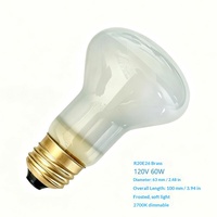 Ampoule chauffante isolante en aluminium et laiton 120V 60W R20 E26 pour machine à popcorn, à intensité variable