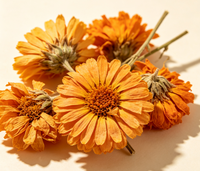 Poudre de Lutéine de Qualité Alimentaire 5% 10% 20% Extrait Naturel de Fleur de Tagetes Erecta