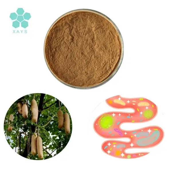 Extract Top Grade Plant Extract Natural Kigelia Africana Fruit Extract Powder