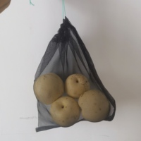 40 Mesh Nylon Netz beutel Insekten netz Trauben schutz beutel Gemüse netz beutel