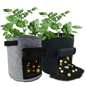 In Stock All Climat Tomato Growing Bags Hydroponic Round Fabric Felt Pot Tree Seedlings Planting Bags for Hydroponic