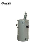 GIANTTREE 25KVA 30KVA 37.5KVA 50KVA 80KVA 167KVA Transformadores de distribución montados en poste inmersos en aceite monofásicos ZHEJIANG