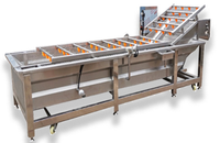 Best Verkopende Automatische Industriële Voedselverwerkende Lijn Nieuwe Friteuse Voor Aardappel Bananenchips Bevroren Frietjes Groenten Fruit