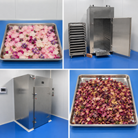 Four à circulation d'air chaud, machine de séchage industrielle avec plateau multi-niveaux