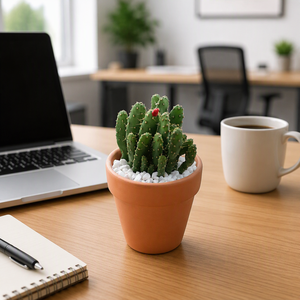 Pots en terre cuite, pots en argile, pots en céramique, pots à fleurs, pots pour <span class=keywords><strong>cactus</strong></span> et plantes succulentes - Product Image 2